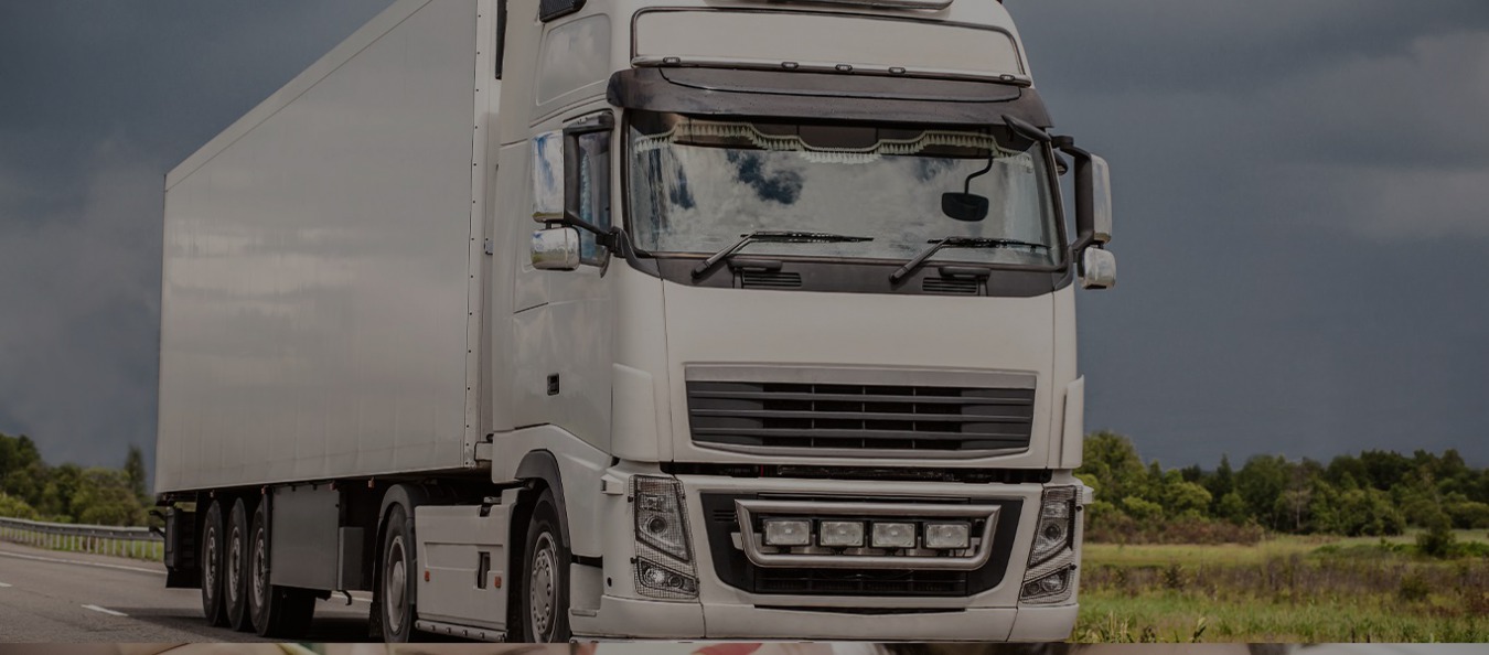 Wsparcie logistyczne<br />i transport międzynarodowy